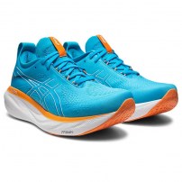 Кросівки для бігу чоловічі Asics GEL-NIMBUS 25 Island blue/Sun peach